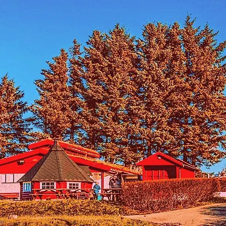 Campsite Haraldshaugen 3*