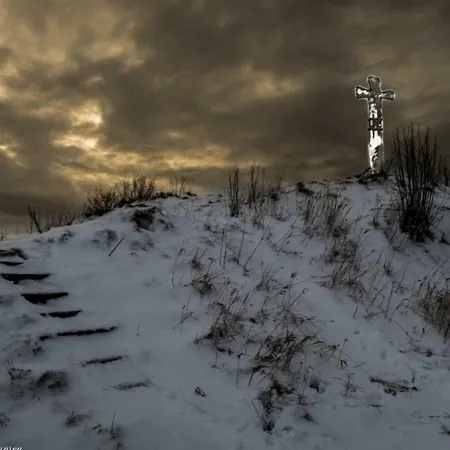 Kemp Haraldshaugen Haugesund