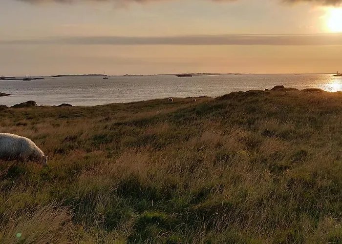 Haraldshaugen האוגסונד