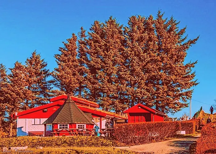 אתר קמפינג Haraldshaugen 3*